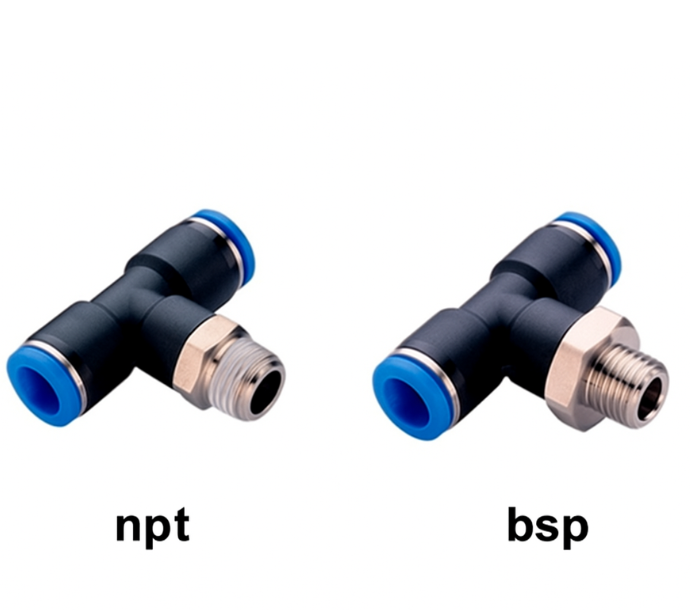 PT – T Macho Central